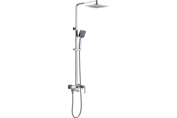 Rain-shower combination